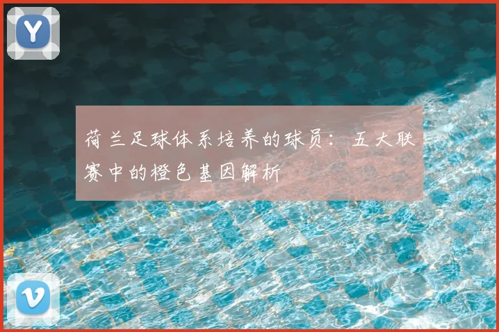荷兰足球体系培养的球员：五大联赛中的橙色基因解析
